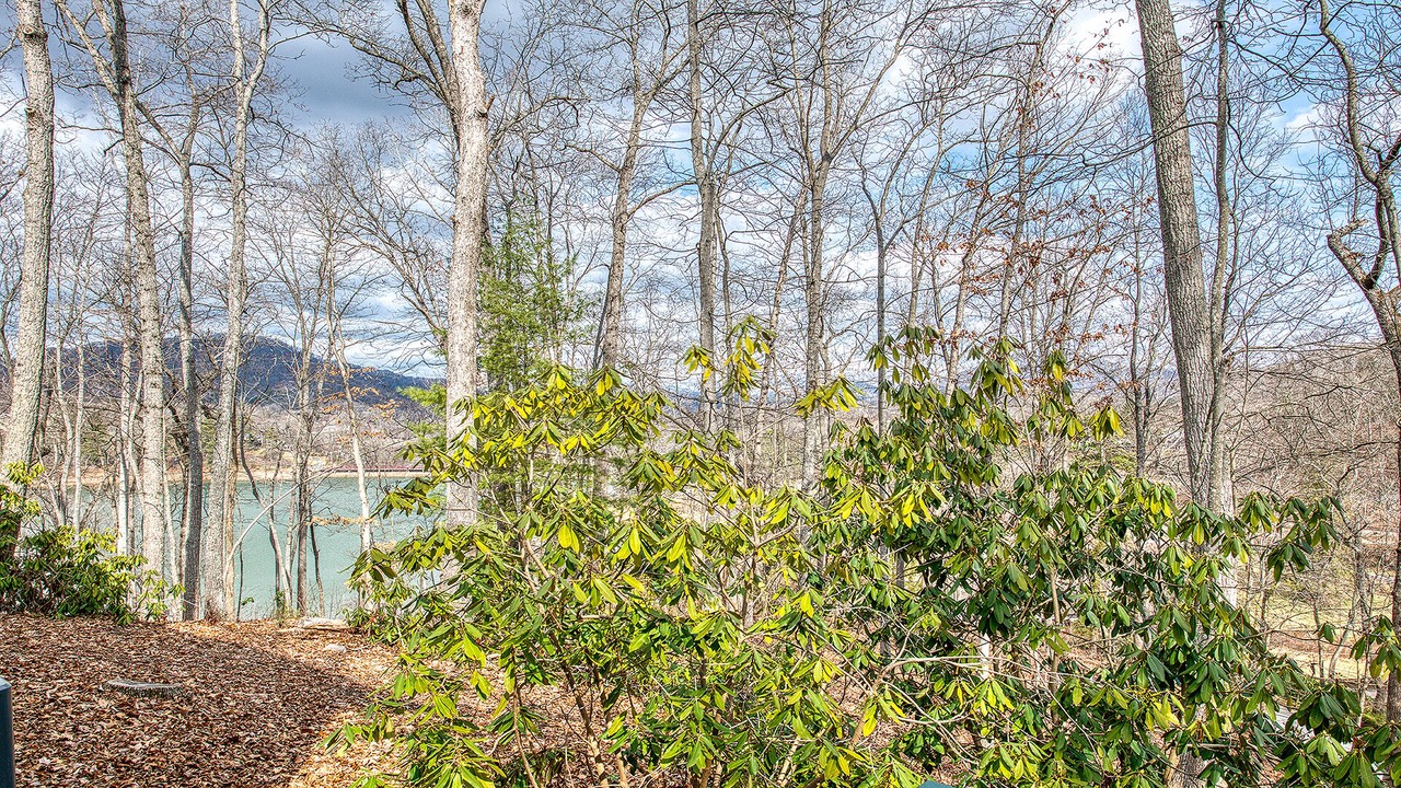 Photo of Others in Lake Junaluska