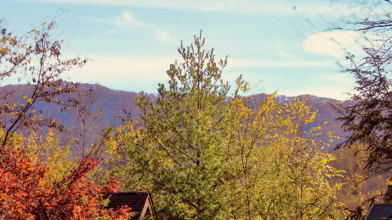 Photo of Outdoor in Wears Valley