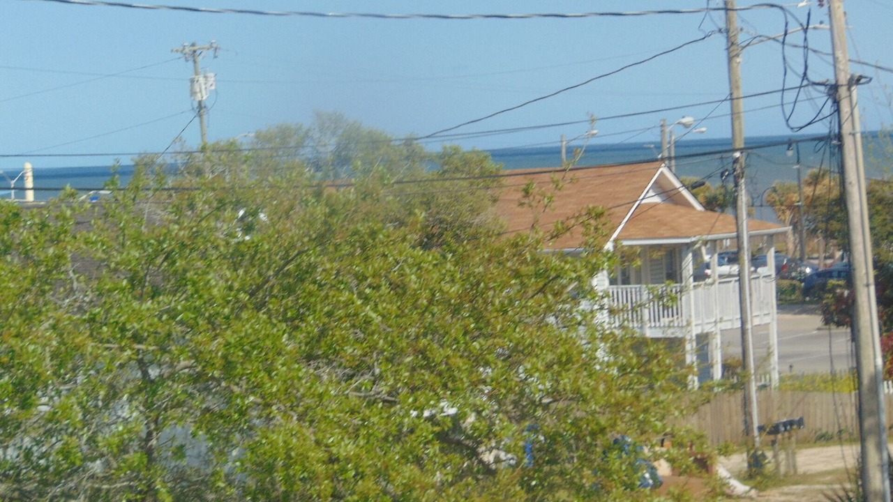 Photo of Others in Myrtle Beach