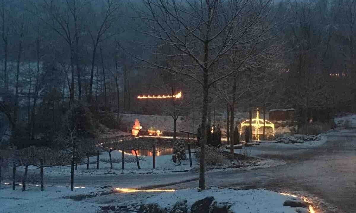 Photo of Others in Brevard