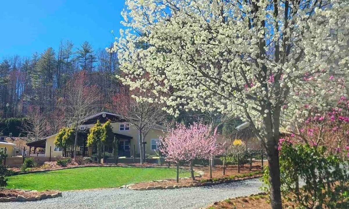 Photo of Outdoor in Brevard
