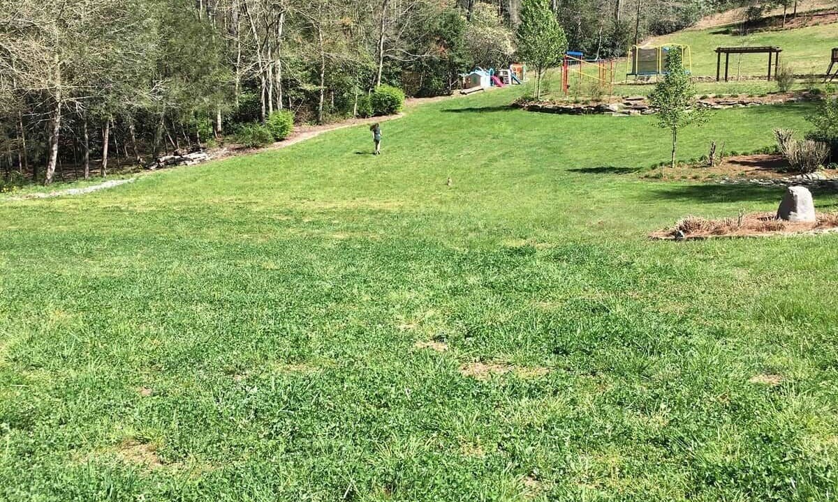 Photo of Outdoor in Brevard