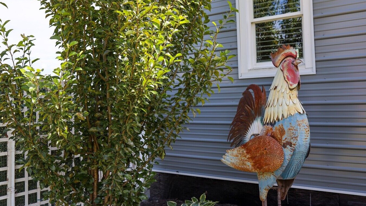Photo of Others in Luray