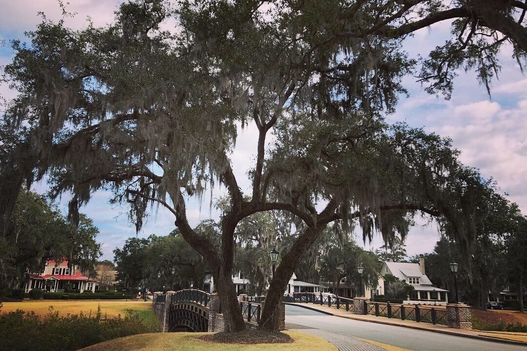 Photo of Others in Palmetto Bluff