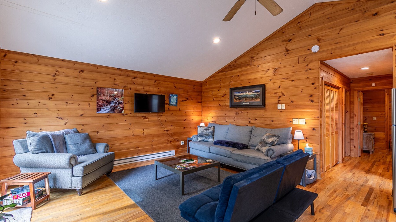 Photo of Livingroom in Vilas