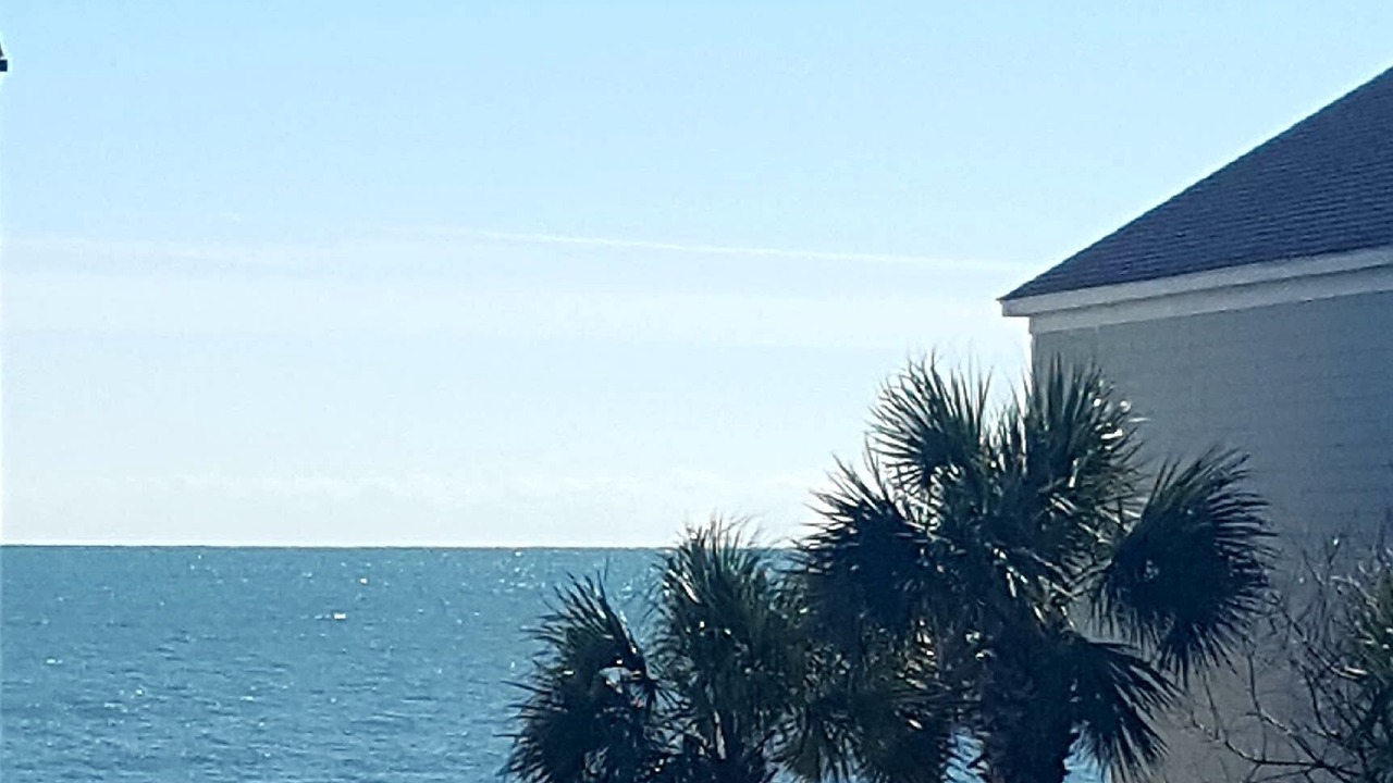 Photo of Others in Surfside Beach