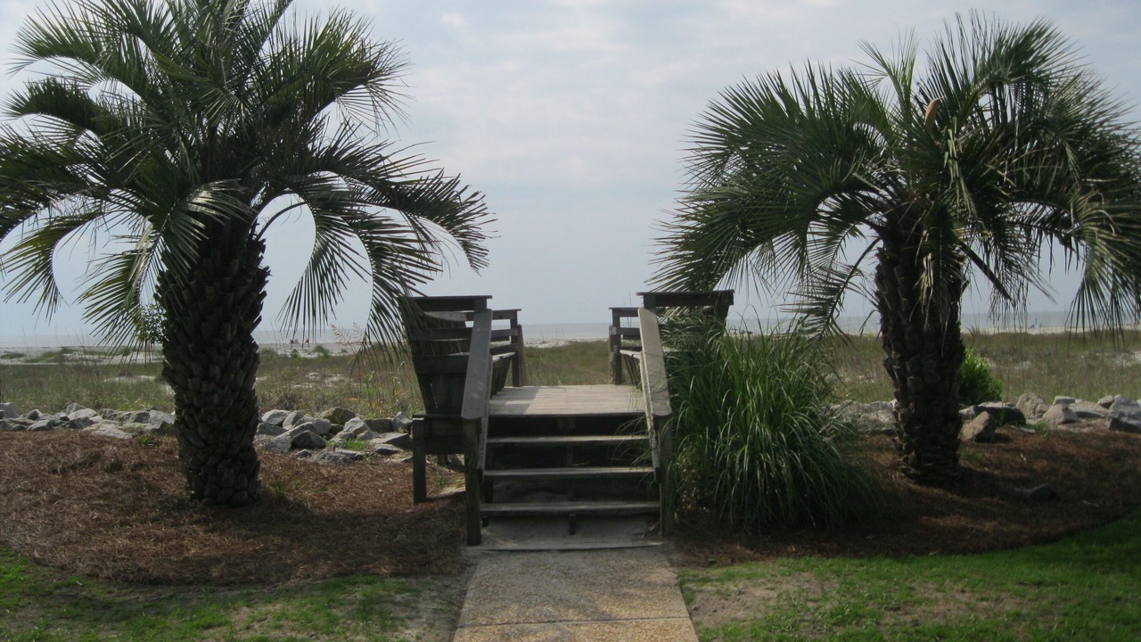 Photo of Others in Saint Helena Island