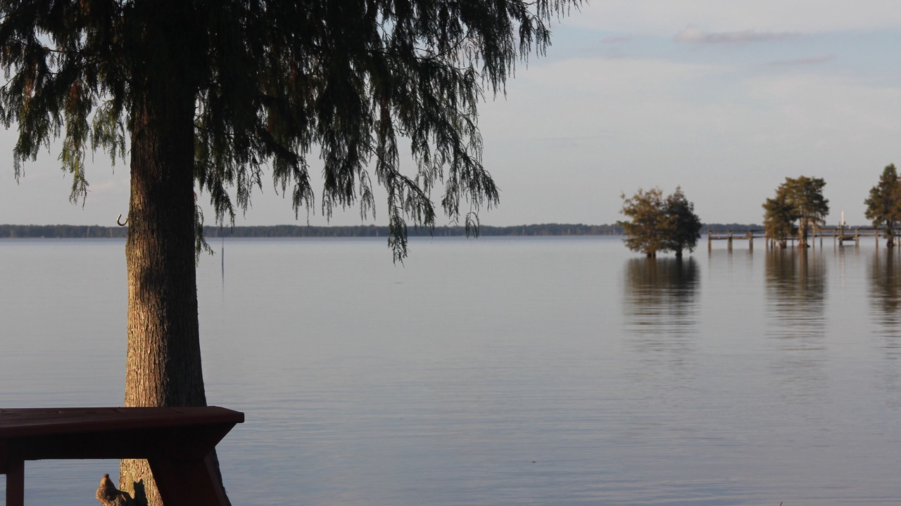 Photo of Others in Eutawville