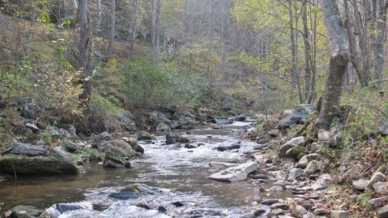 Photo of Others in Deep Gap