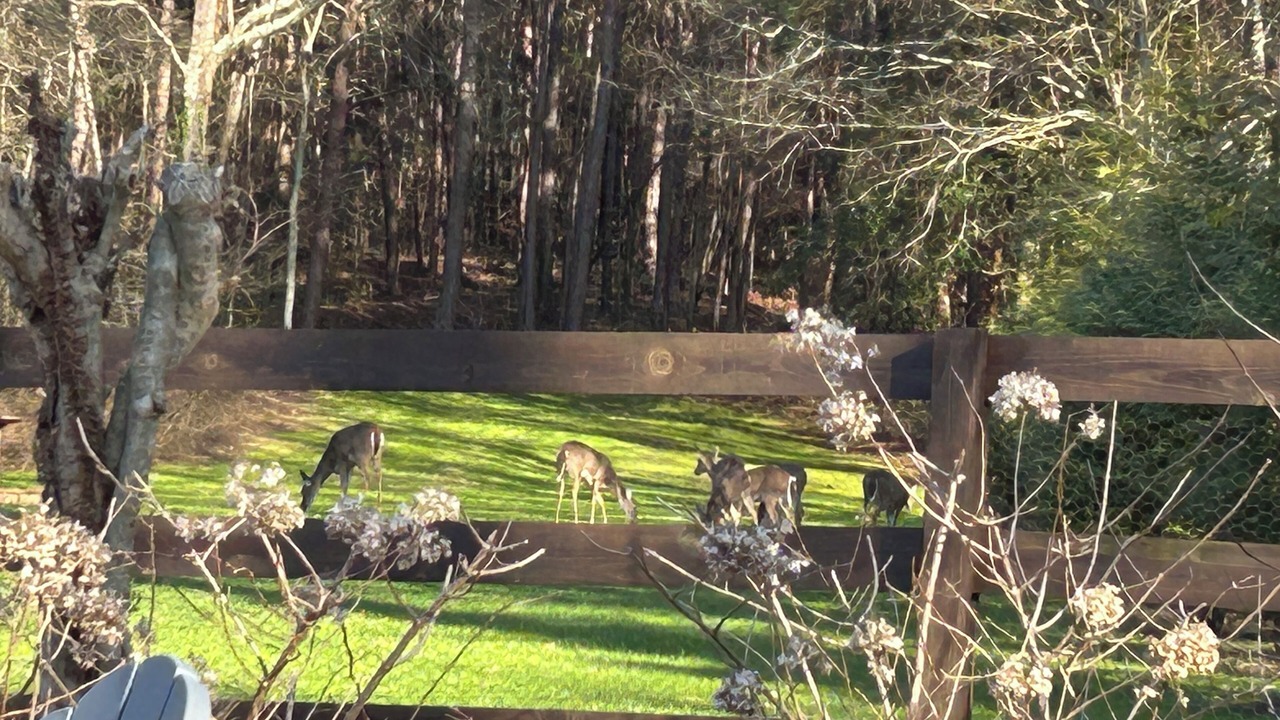 Photo of Outdoor in Lavonia