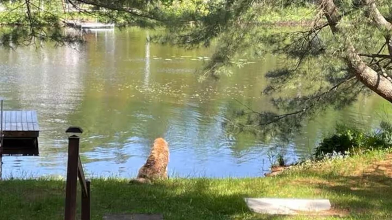 Photo of Outdoor in Chertsey