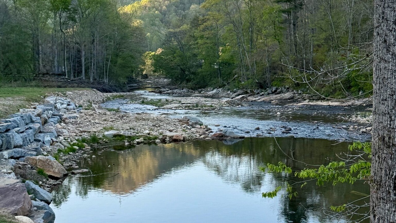 Photo of Others in Canton