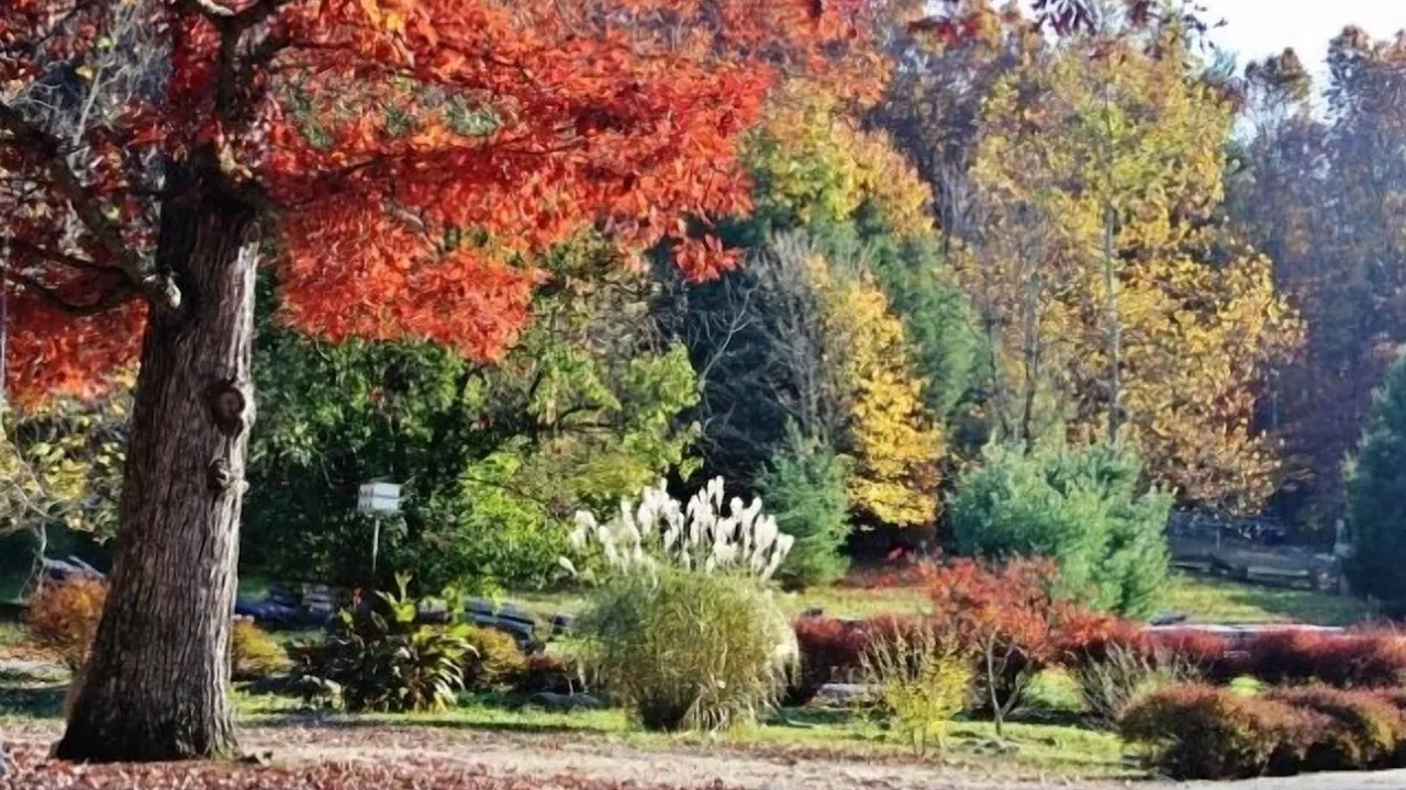 Photo of Outdoor in Goldbond