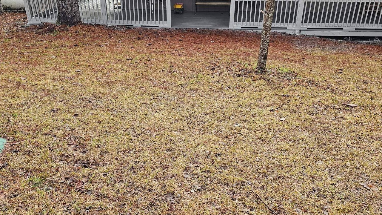 Photo of Outdoor in Elberton