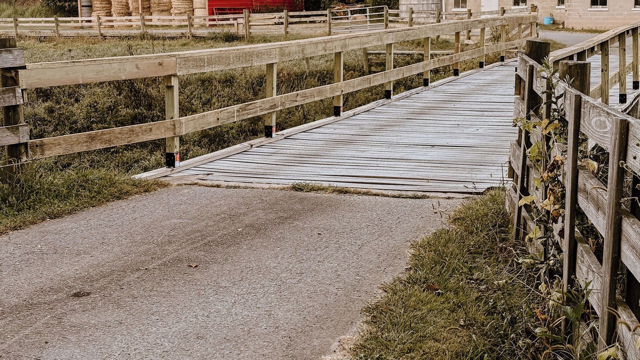 Photo of Outdoor in Galax