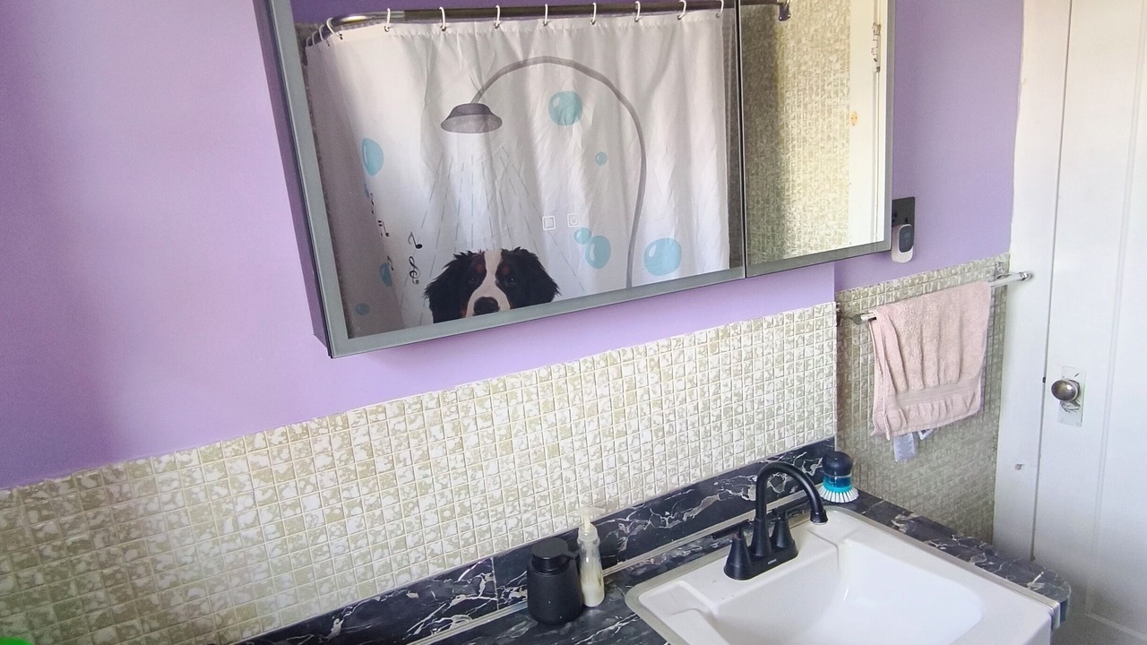 Photo of Bathroom in Kensington-Cedar Cottage