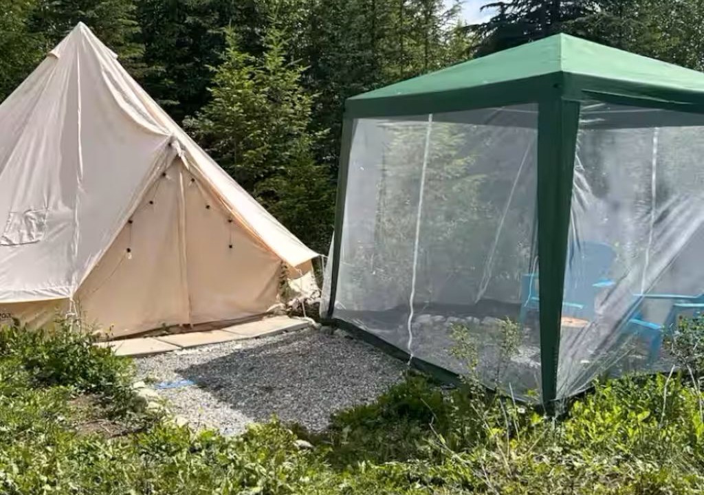 Photo of Outdoor in Golden