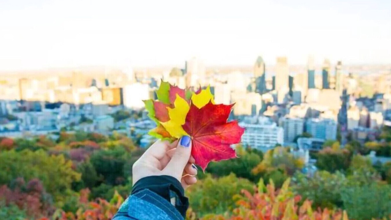 Photo of Others in Cote-Des-Neiges—Notre-Dame-De-Grace