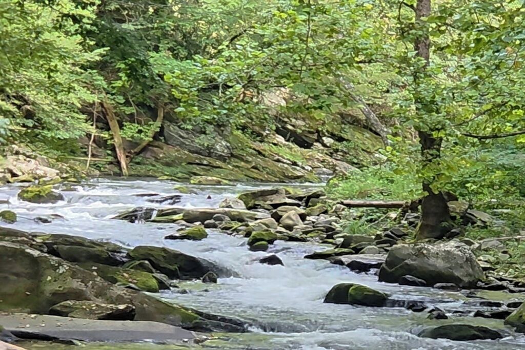Photo of Others in Cullowhee