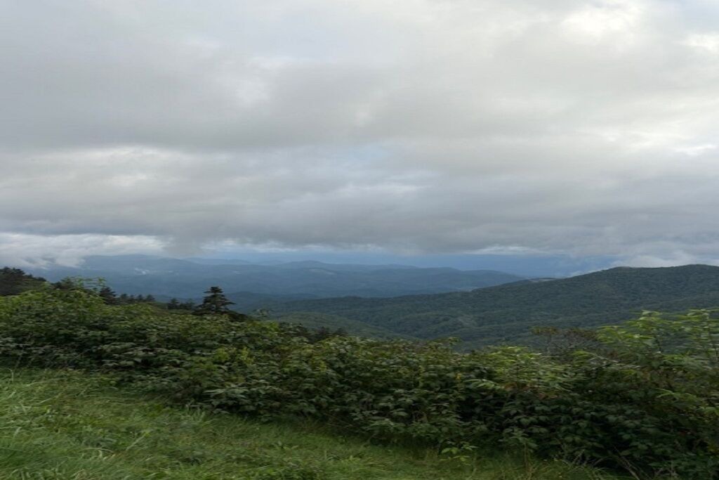 Photo of Others in Cullowhee