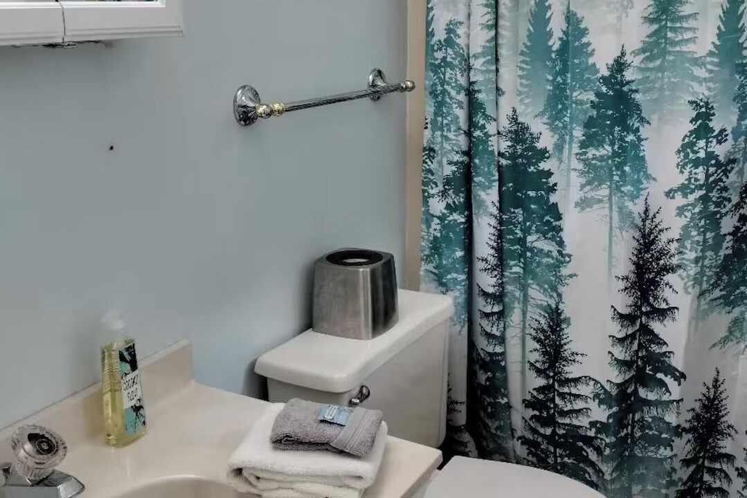 Photo of Bathroom in Maggie Valley