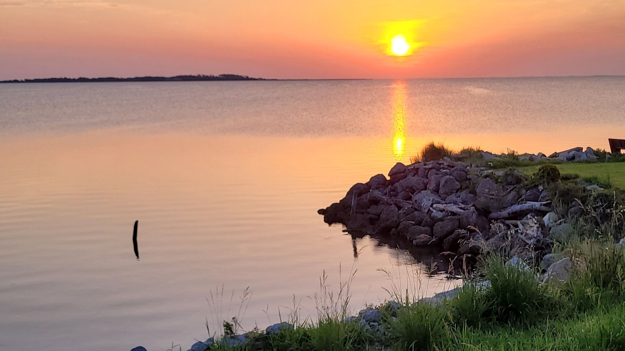 Photo of Others in Cedar Island