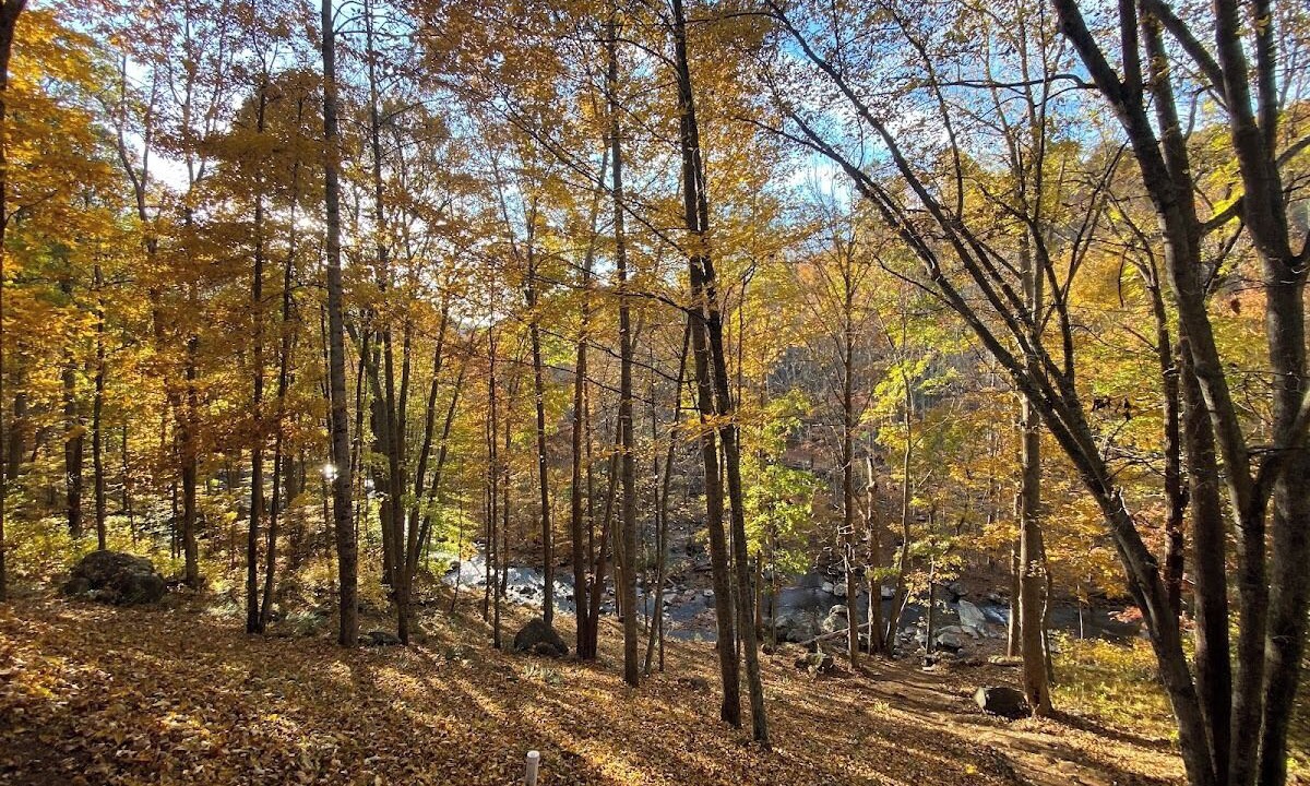 Photo of Others in Bakersville