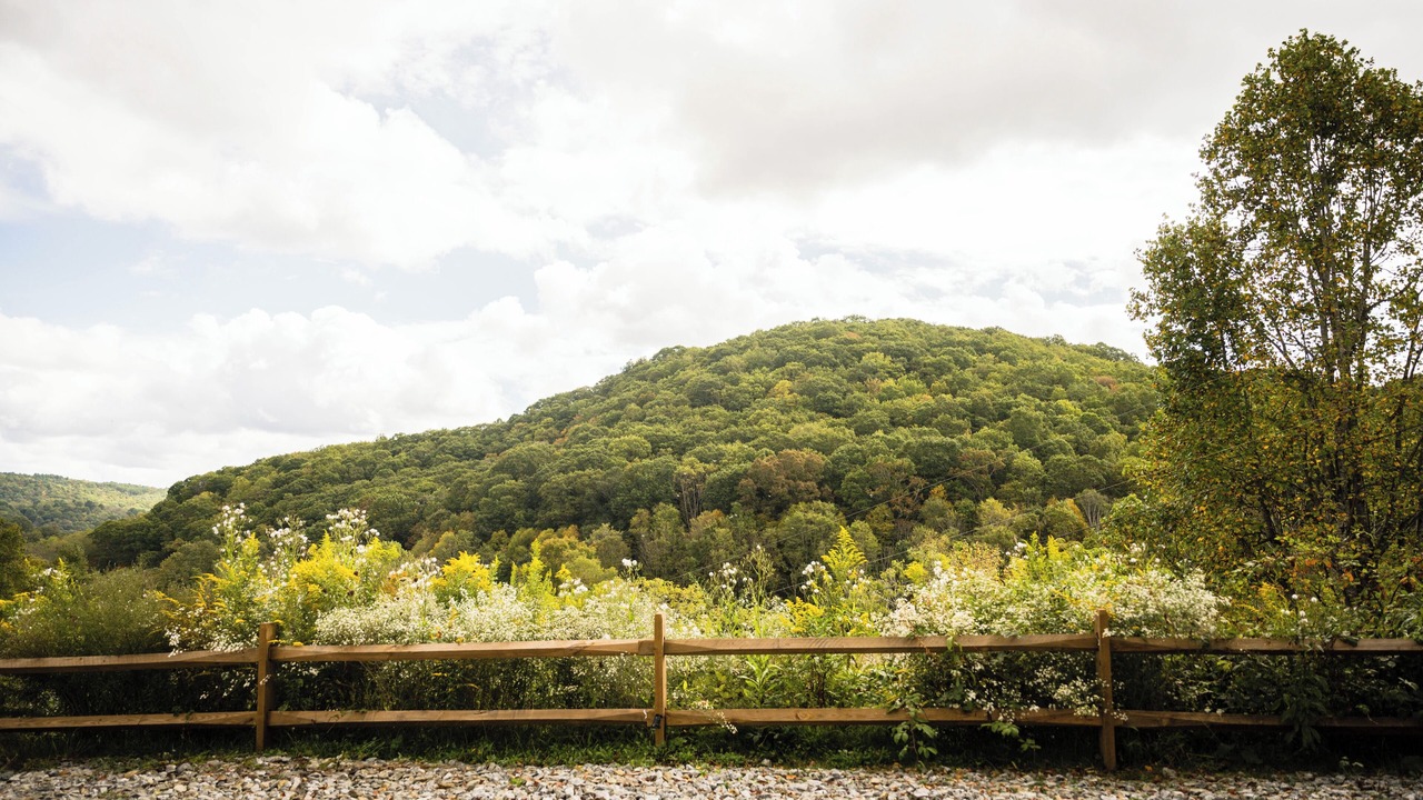 Photo of Others in Wilson Creek