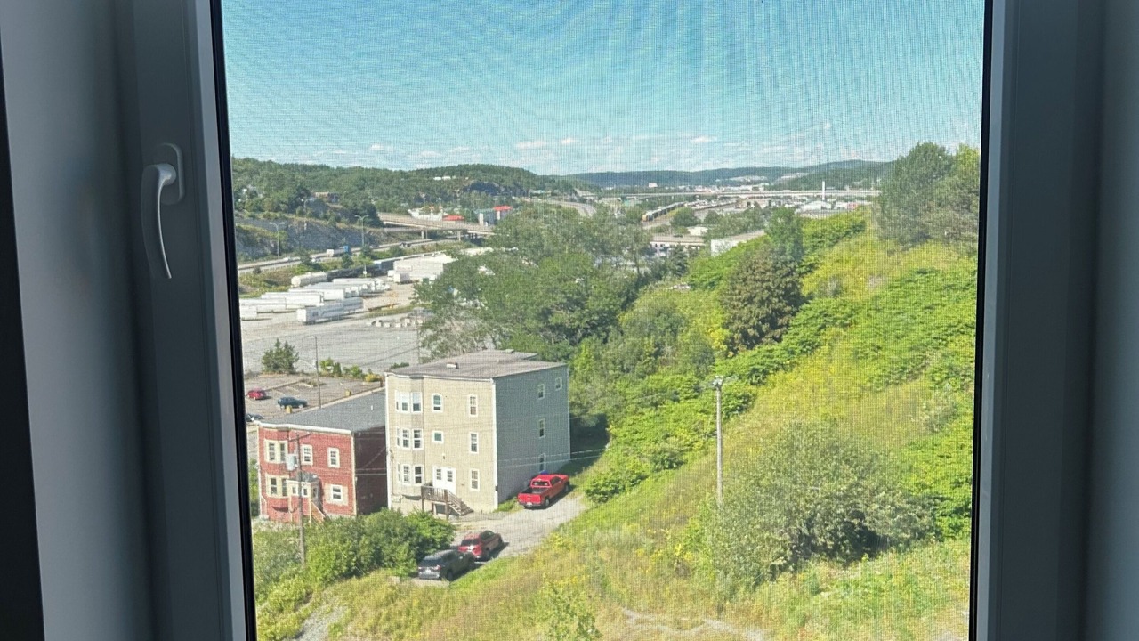 Photo of Others in Saint John