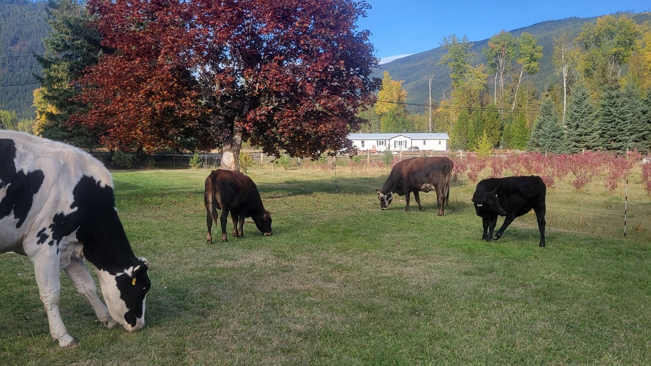 Photo of Others in Creston