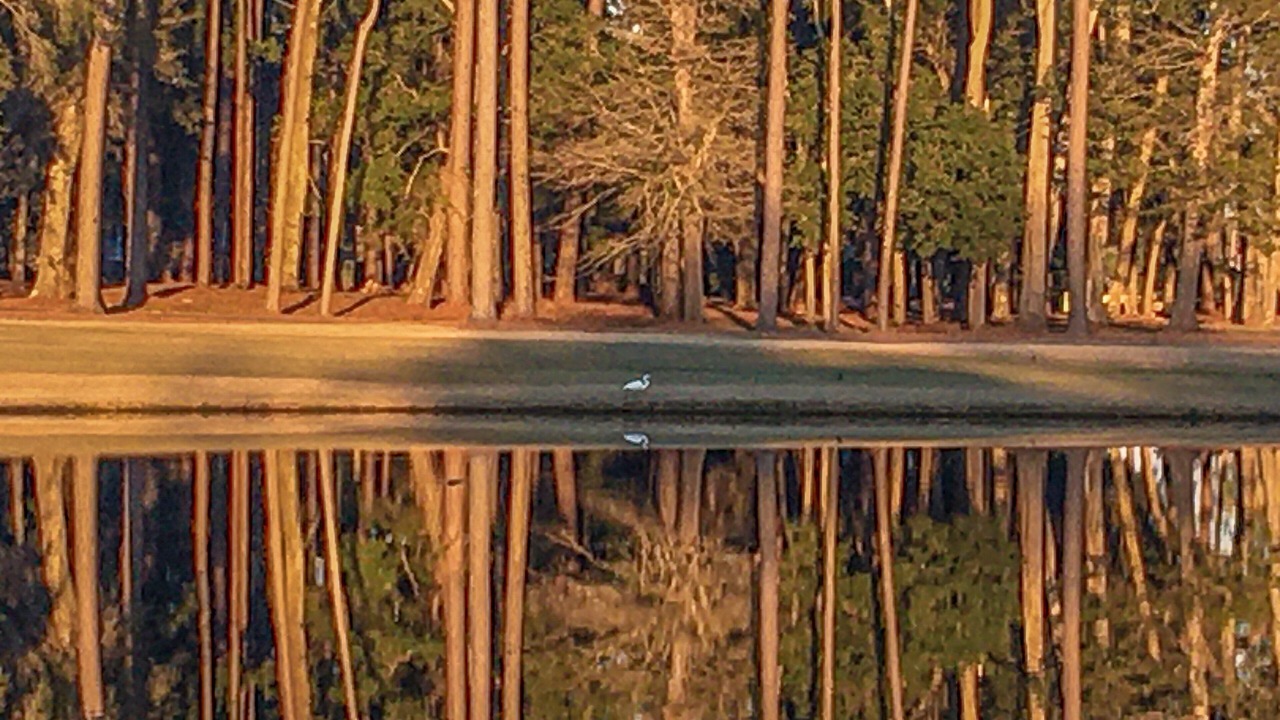 Photo of Others in Sea Trail