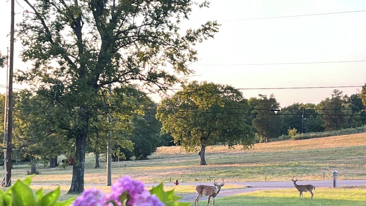 Photo of Others in Madison