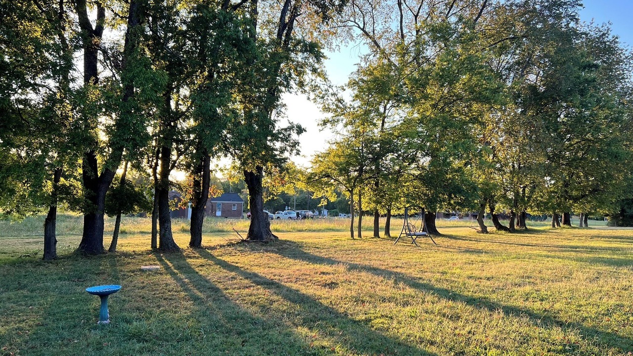 Photo of Others in Madison