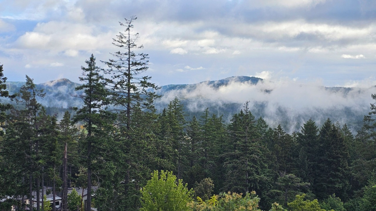 Photo of Others in Bear Mountain Resort