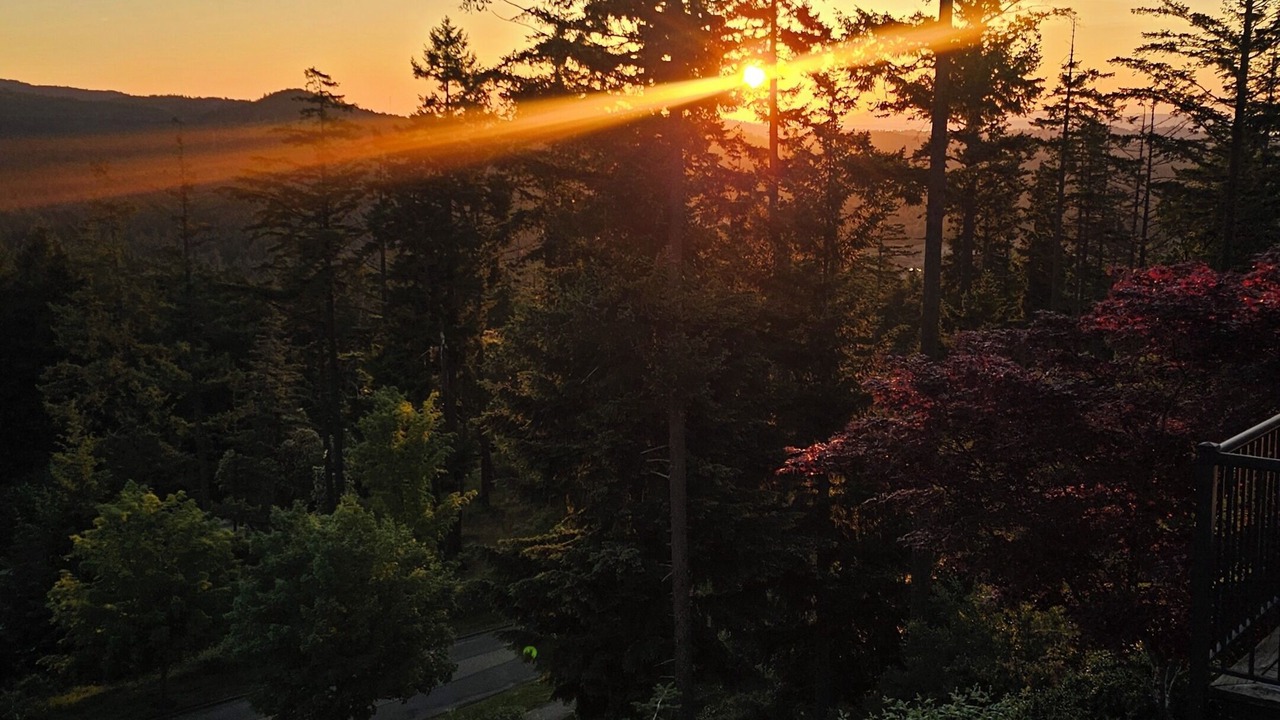 Photo of Others in Bear Mountain Resort