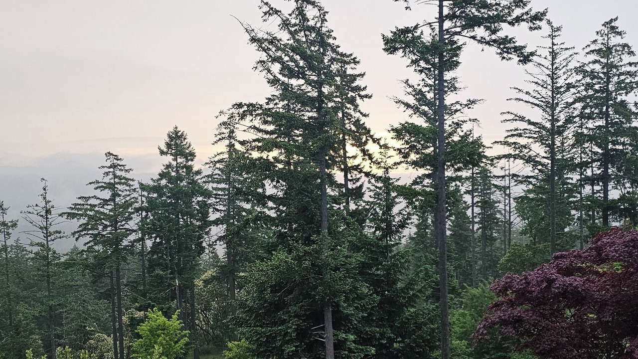 Photo of Others in Bear Mountain Resort