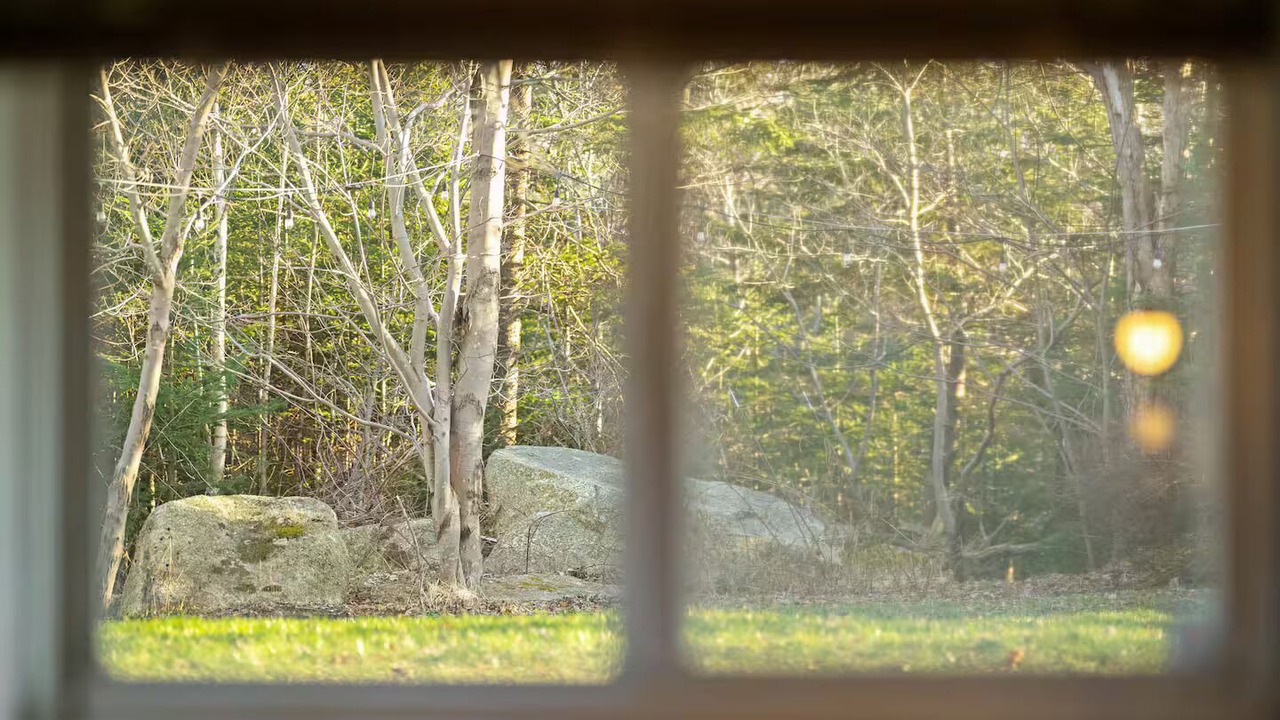 Photo of Others in Halifax