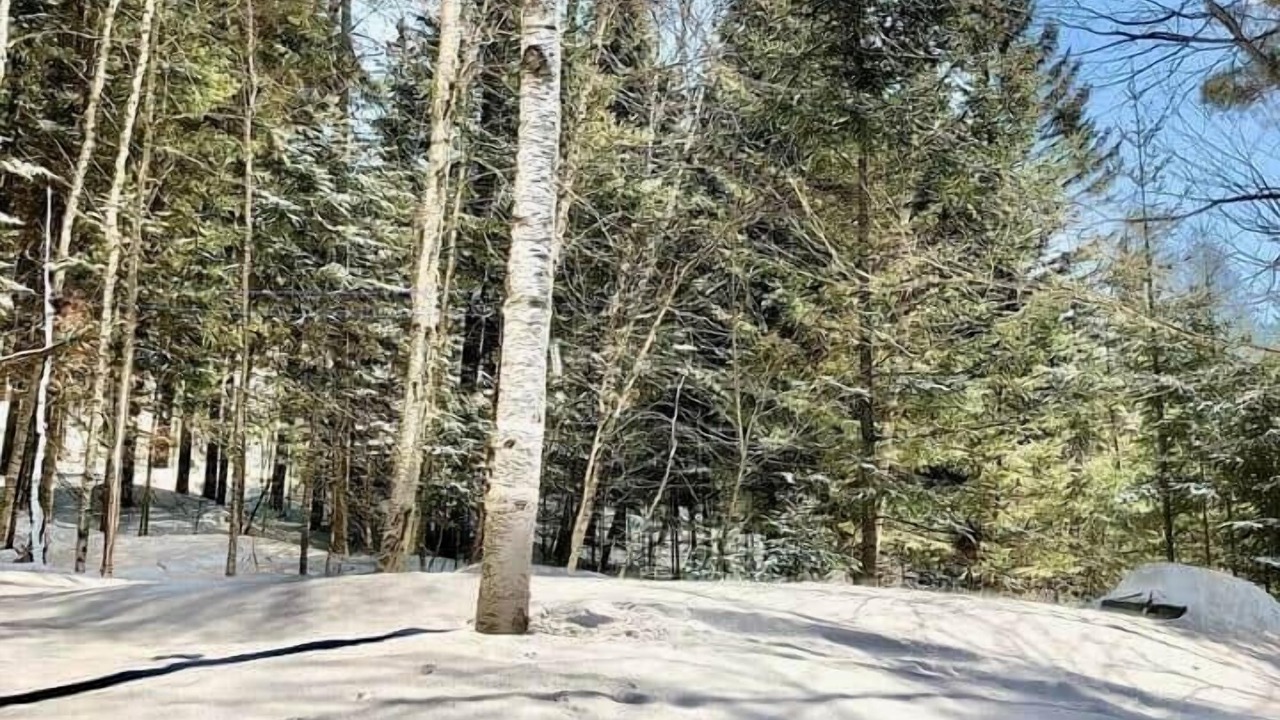 Photo of Others in Lac Superieur Village