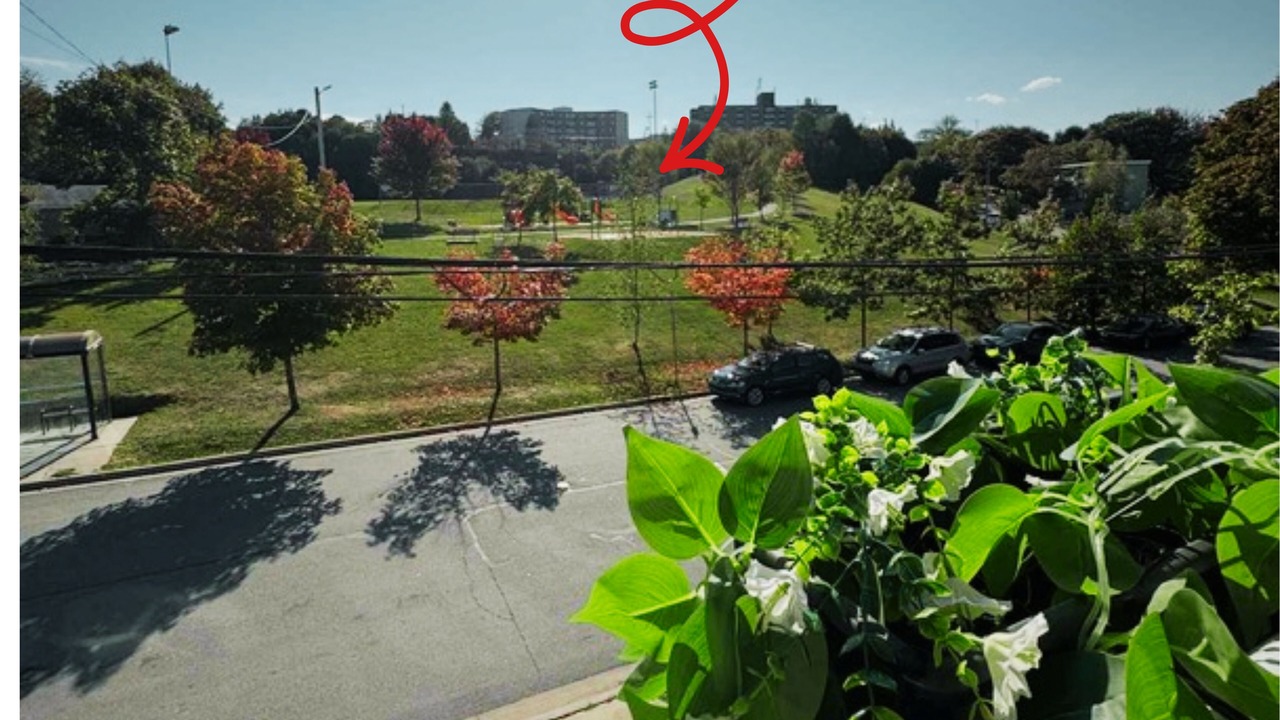 Photo of Outdoor in North End