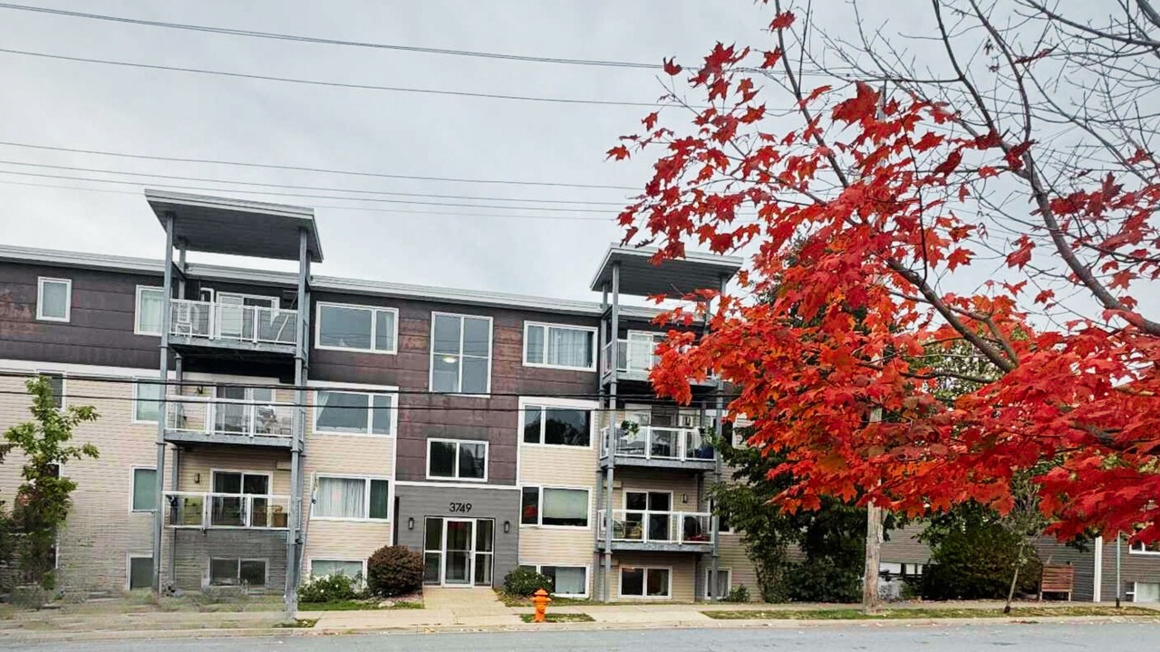 Photo of Outdoor in North End
