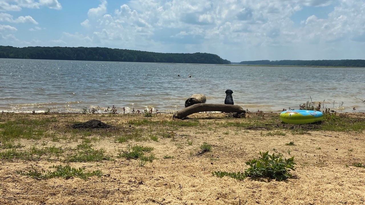 Photo of Others in Clarksville
