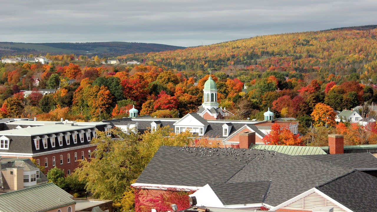 Photo of Others in Antigonish