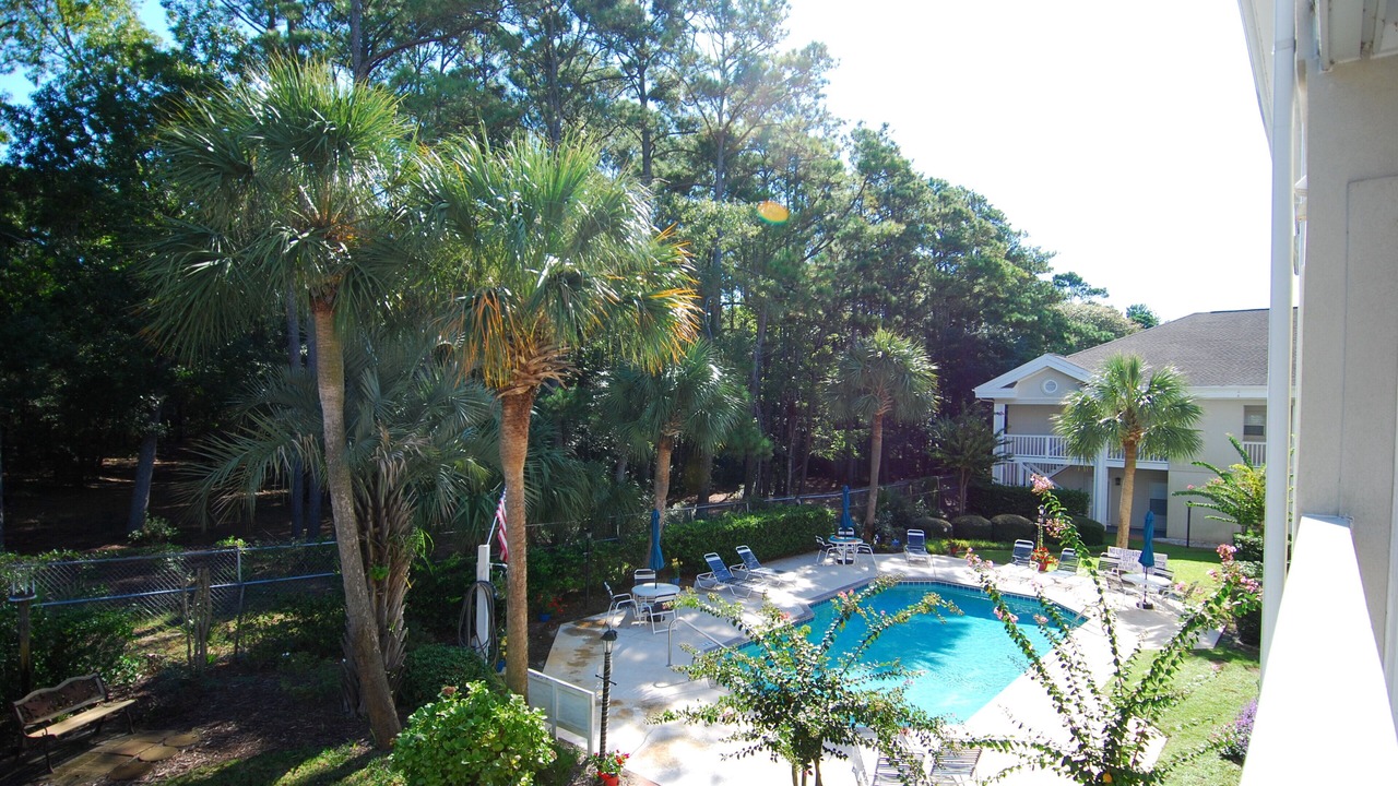 Photo of Others in Arcadian Shores