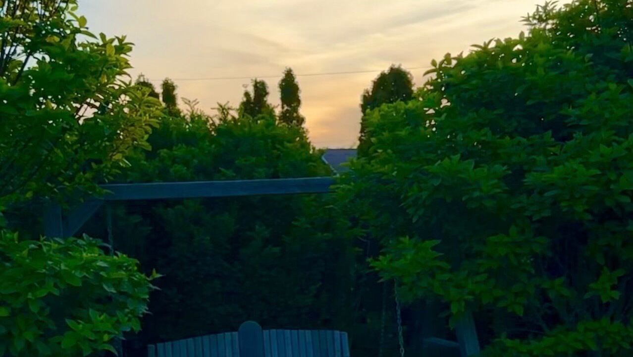 Photo of Outdoor in Cornwall