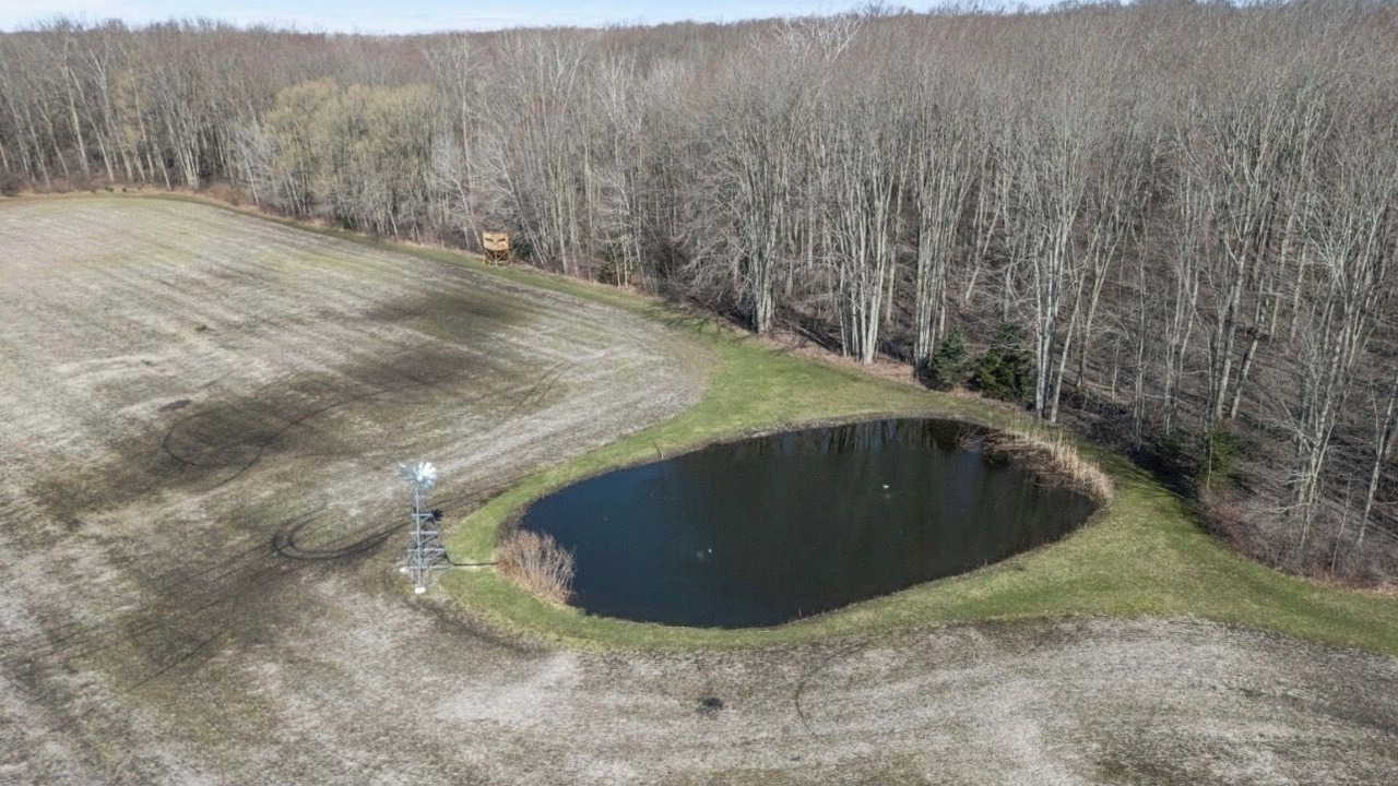 Photo of Outdoor in Langton