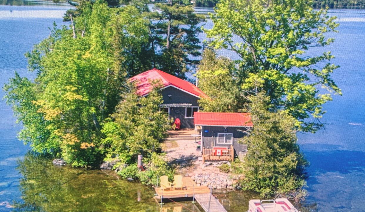 Photo of Outdoor in Sharbot Lake