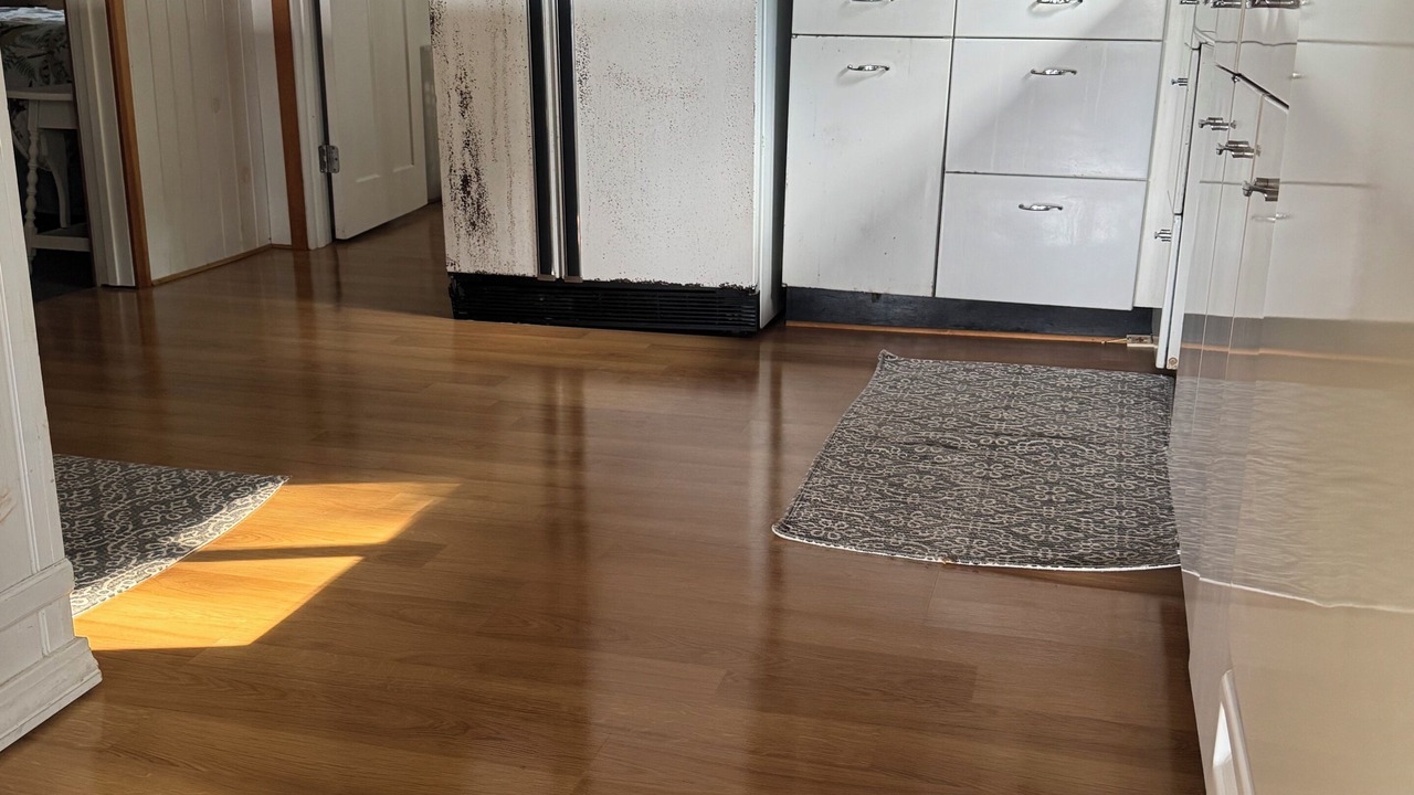 Photo of Kitchen in Lee