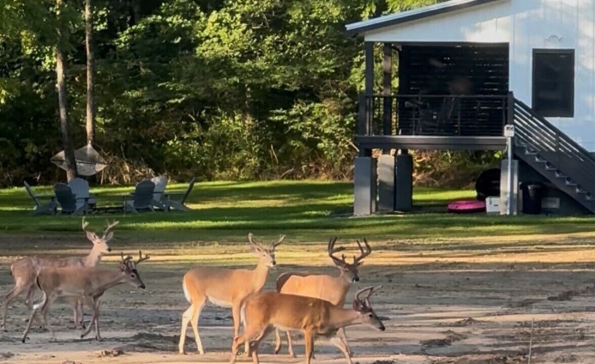 Photo of Others in Deep Gap