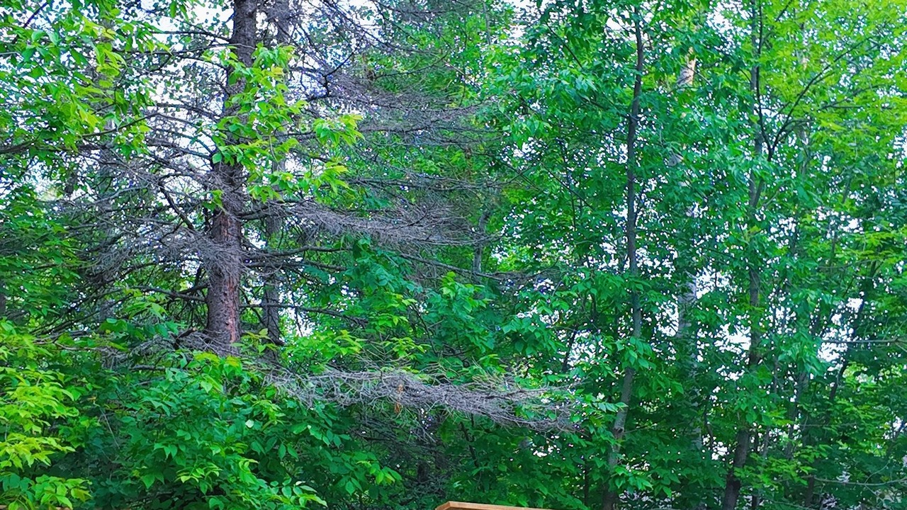 Photo of Outdoor in Beaconia