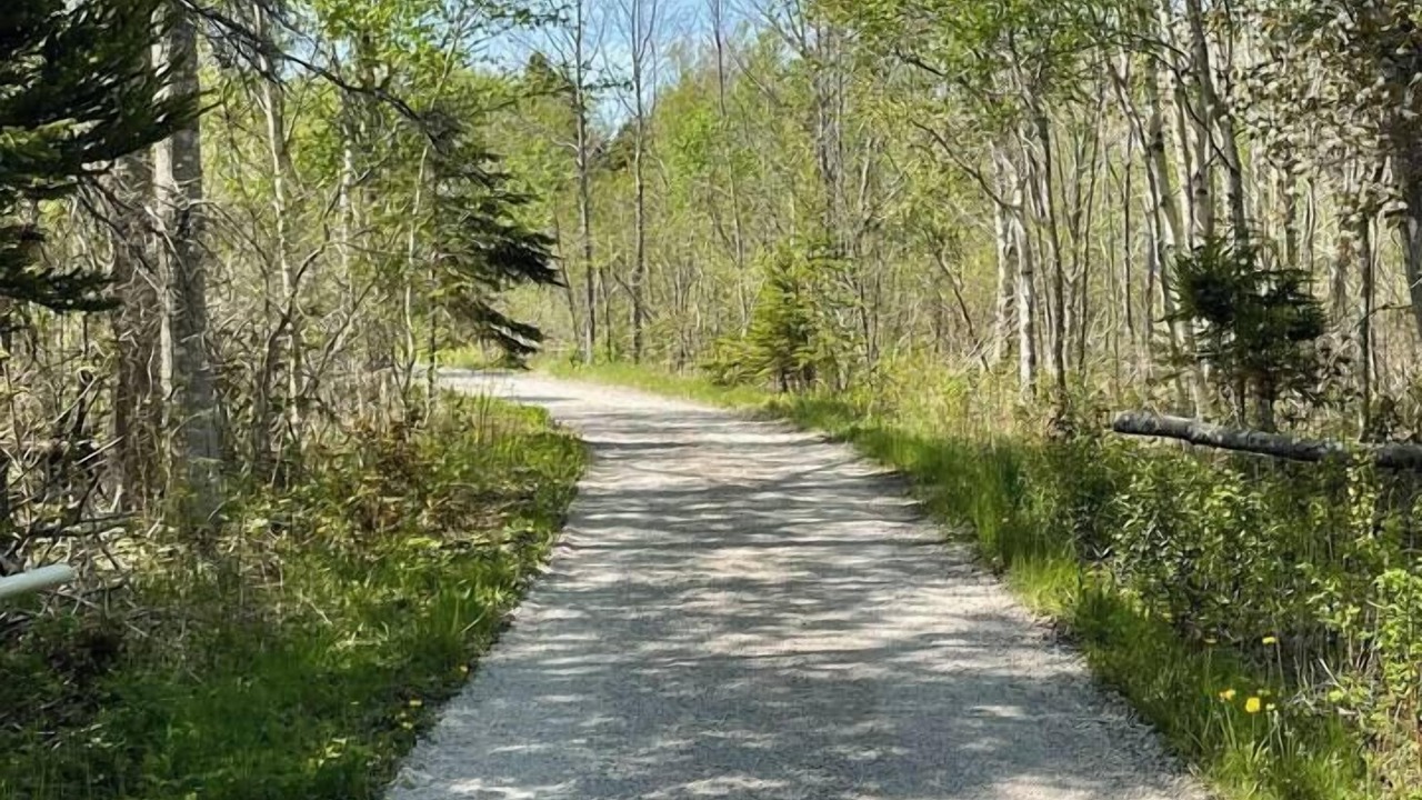 Photo of Others in Cape Breton Regional Municipality
